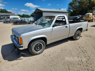 DODGE DAKOTA
