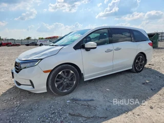 HONDA ODYSSEY ELITE