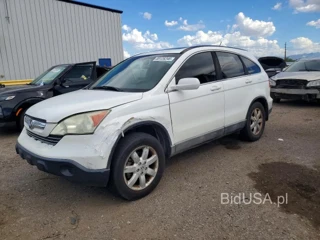 HONDA CR-V EXL