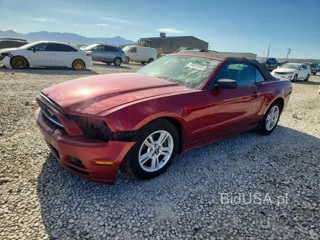 FORD MUSTANG