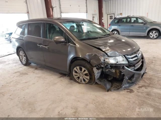 HONDA HONDA ODYSSEY EX