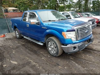 FORD FORD F-150 XLT
