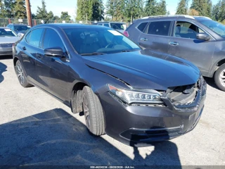 ACURA ACURA TLX