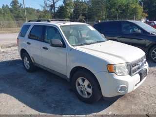 FORD FORD ESCAPE XLT