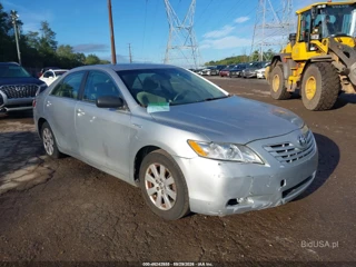 TOYOTA TOYOTA CAMRY HYBRID