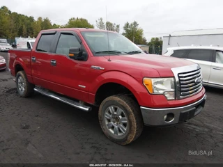 FORD FORD F-150 XLT