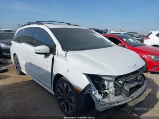 HONDA HONDA ODYSSEY ELITE