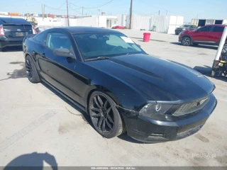 FORD FORD MUSTANG V6/V6 PREMIUM