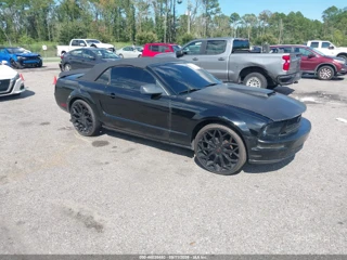 FORD FORD MUSTANG V6