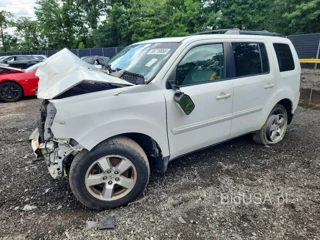 HONDA PILOT EXL