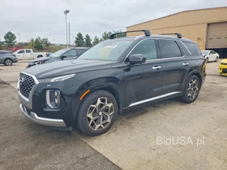 HYUNDAI PALISADE CALLIGRAPHY