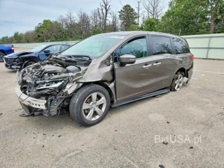 HONDA ODYSSEY EXL