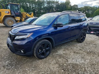 HONDA PASSPORT ELITE