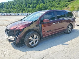 HONDA ODYSSEY EXL