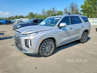 HYUNDAI PALISADE CALLIGRAPHY