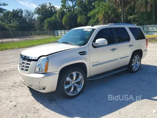 CADILLAC ESCALADE LUXURY