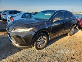 TOYOTA VENZA XLE