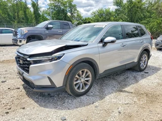 HONDA CR-V EX