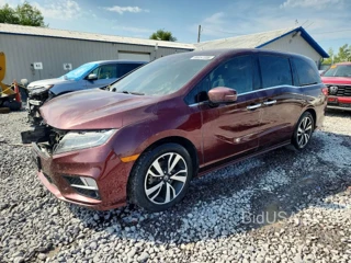 HONDA ODYSSEY ELITE