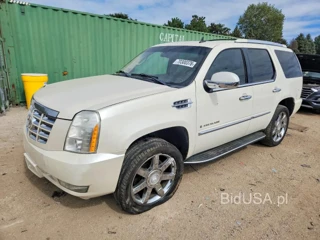 CADILLAC ESCALADE LUXURY