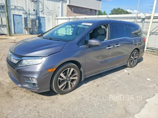 HONDA ODYSSEY ELITE