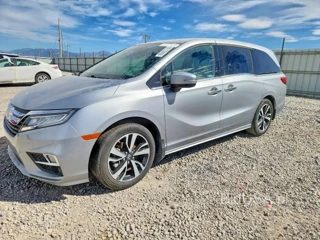 HONDA ODYSSEY ELITE