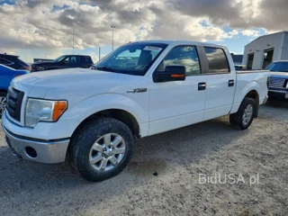 FORD F150 SUPERCREW
