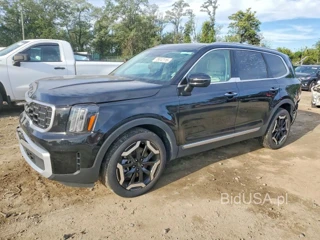 KIA TELLURIDE S