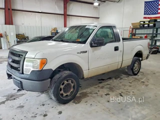 FORD F150