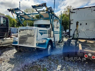 PETERBILT 389