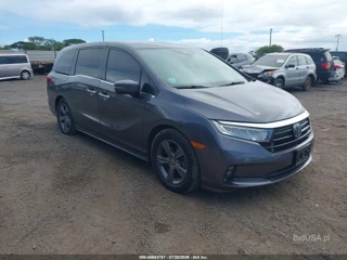 HONDA HONDA ODYSSEY EX