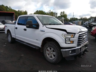 FORD FORD F-150 XLT