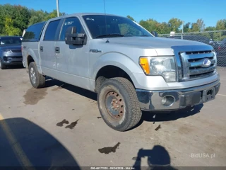 FORD FORD F-150 XLT