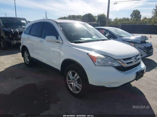 HONDA HONDA CR-V EX-L