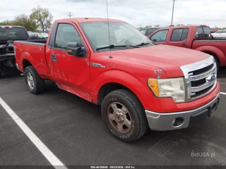 FORD FORD F-150 XLT