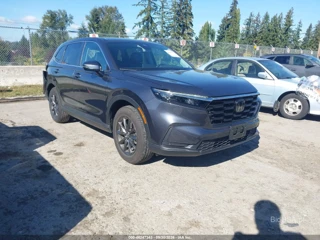 HONDA HONDA CR-V EX-L AWD
