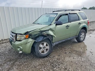 FORD ESCAPE XLT