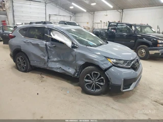HONDA HONDA CR-V EX