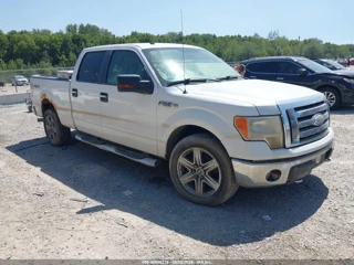FORD FORD F-150 XLT