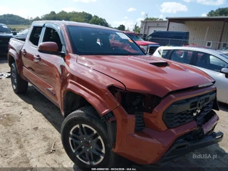 TOYOTA TOYOTA TACOMA TRD SPORT