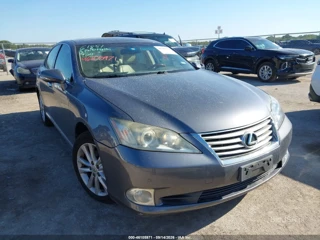 LEXUS LEXUS ES 350