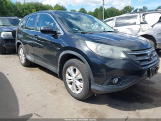 HONDA HONDA CR-V EX