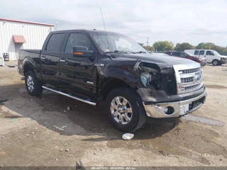 FORD FORD F-150 XLT