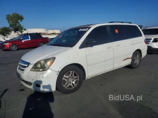 HONDA ODYSSEY EXL