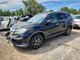 HONDA PILOT ELITE