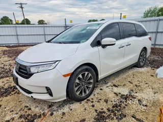 HONDA ODYSSEY EXL