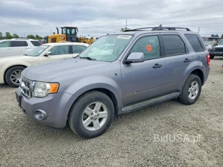 FORD ESCAPE HEV