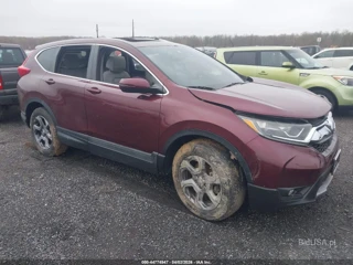 HONDA HONDA CR-V EX