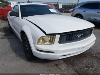 FORD FORD MUSTANG V6/V6 PREMIUM