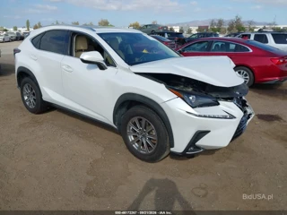 LEXUS LEXUS NX 300